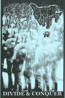 Gorgonized Dorks : Divide & Conquer